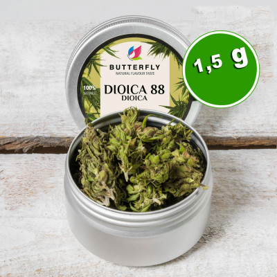 Infiorescenza Canapa DIOICA 88 - Formato 1.5 gr
